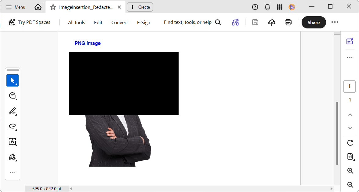 Image redaction support